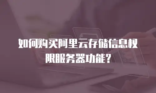 如何购买阿里云存储信息权限服务器功能？