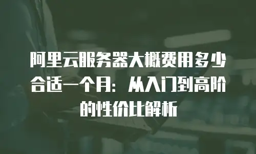 阿里云服务器大概费用多少合适一个月：从入门到高阶的性价比解析