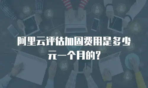 阿里云评估加固费用是多少元一个月的？
