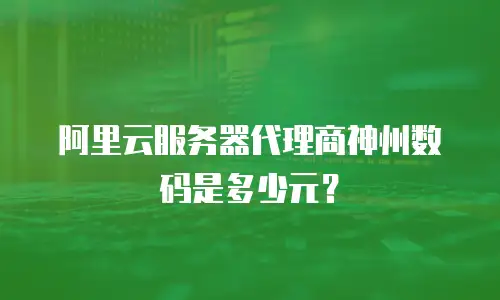 阿里云服务器代理商神州数码是多少元？