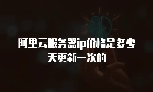 阿里云服务器ip价格是多少天更新一次的