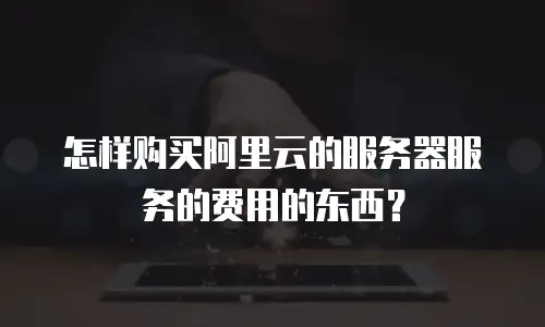 怎样购买阿里云的服务器服务的费用的东西？