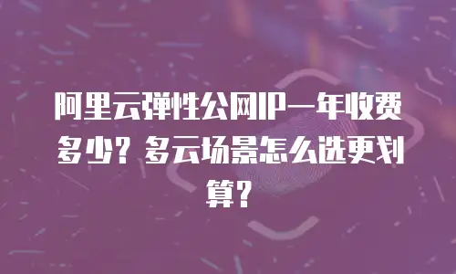 阿里云弹性公网IP一年收费多少？多云场景怎么选更划算？