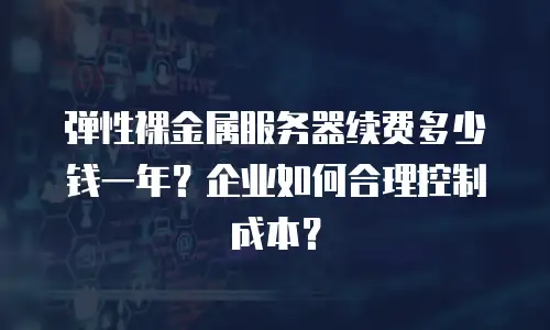 弹性裸金属服务器续费多少钱一年？企业如何合理控制成本？