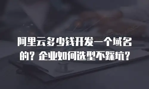阿里云多少钱开发一个域名的？企业如何选型不踩坑？