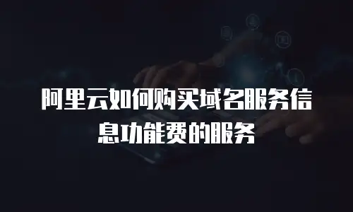 阿里云如何购买域名服务信息功能费的服务