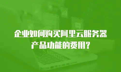 企业如何购买阿里云服务器产品功能的费用？