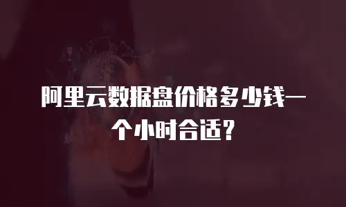 阿里云数据盘价格多少钱一个小时合适？