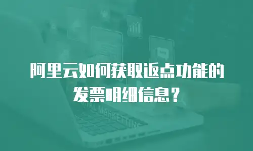 阿里云如何获取返点功能的发票明细信息？