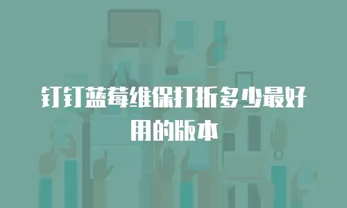 钉钉蓝莓维保打折多少最好用的版本