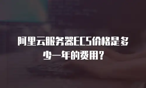 阿里云服务器ECS价格是多少一年的费用？