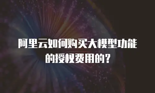 阿里云如何购买大模型功能的授权费用的？