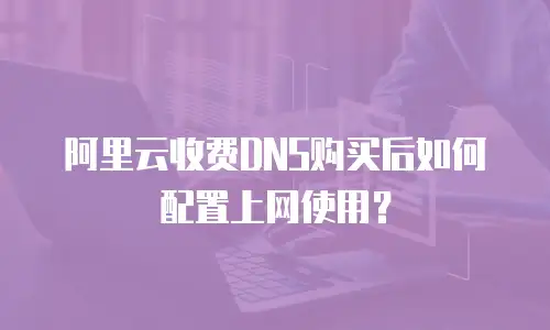 阿里云收费DNS购买后如何配置上网使用？
