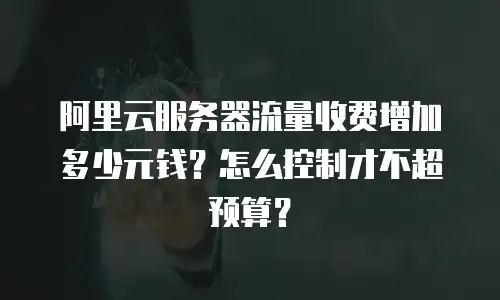 阿里云服务器流量收费增加多少元钱？怎么控制才不超预算？