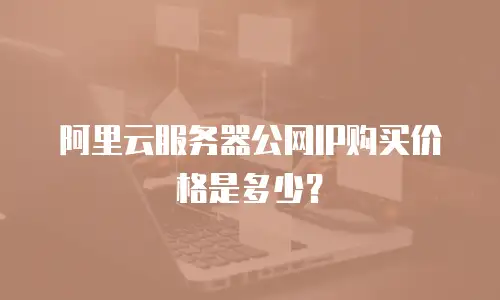 阿里云服务器公网IP购买价格是多少？