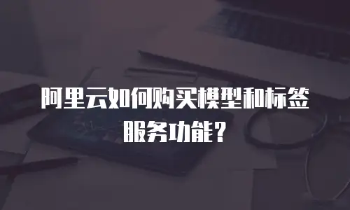 阿里云如何购买模型和标签服务功能？