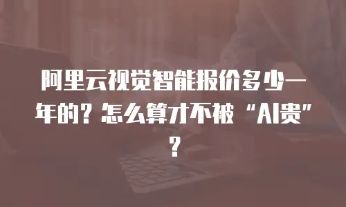 阿里云视觉智能报价多少一年的？怎么算才不被&ldquo;AI贵&rdquo;？