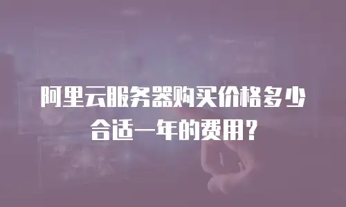 阿里云服务器购买价格多少合适一年的费用？