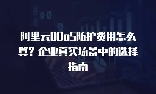 阿里云DDoS防护费用怎么算？企业真实场景中的选择指南