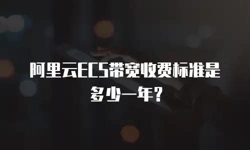 阿里云ECS带宽收费标准是多少一年？