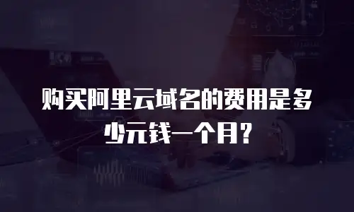 购买阿里云域名的费用是多少元钱一个月？