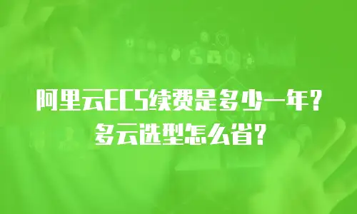 阿里云ECS续费是多少一年？多云选型怎么省？