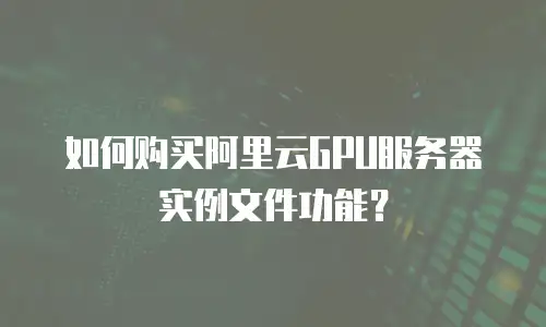 如何购买阿里云GPU服务器实例文件功能？