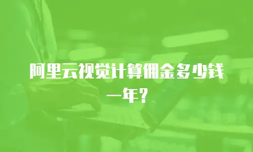 阿里云视觉计算佣金多少钱一年？