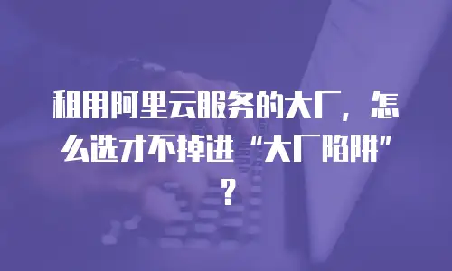 租用阿里云服务的大厂，怎么选才不掉进“大厂陷阱”？