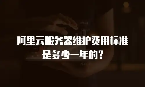 阿里云服务器维护费用标准是多少一年的？