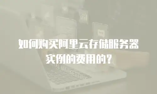 如何购买阿里云存储服务器实例的费用的？