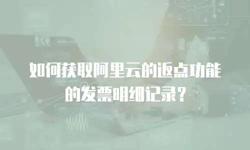 如何获取阿里云的返点功能的发票明细记录？