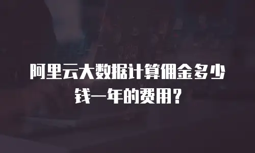 阿里云大数据计算佣金多少钱一年的费用？