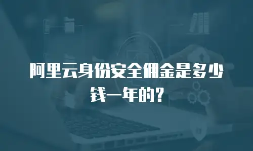 阿里云身份安全佣金是多少钱一年的？