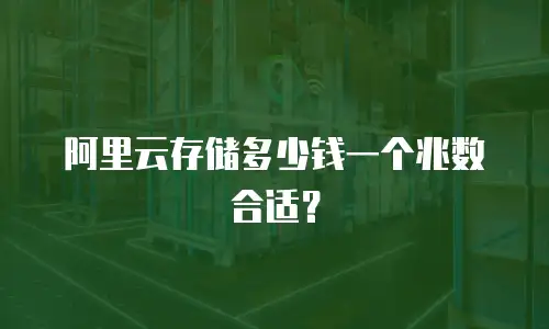 阿里云存储多少钱一个兆数合适？