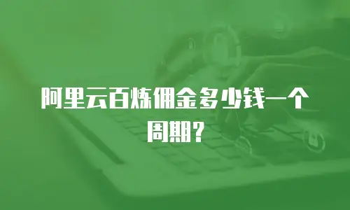 阿里云百炼佣金多少钱一个周期？