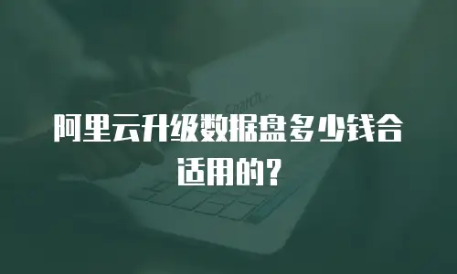 阿里云升级数据盘多少钱合适用的？