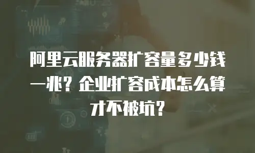 阿里云服务器扩容量多少钱一兆？企业扩容成本怎么算才不被坑？