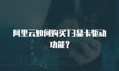 阿里云如何购买T3显卡驱动功能？