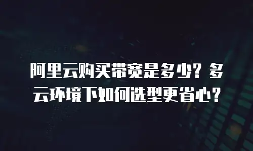 阿里云购买带宽是多少？多云环境下如何选型更省心？