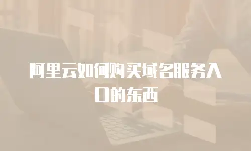 阿里云如何购买域名服务入口的东西