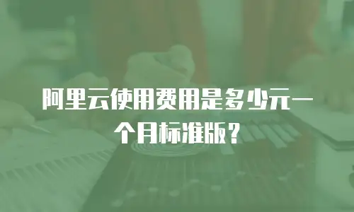阿里云使用费用是多少元一个月标准版？