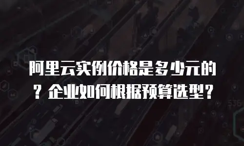 阿里云实例价格是多少元的？企业如何根据预算选型？