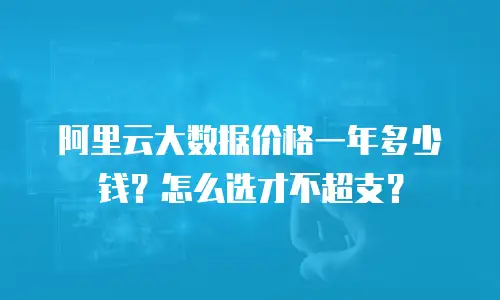 阿里云大数据价格一年多少钱？怎么选才不超支？