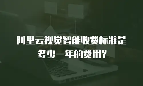 阿里云视觉智能收费标准是多少一年的费用？