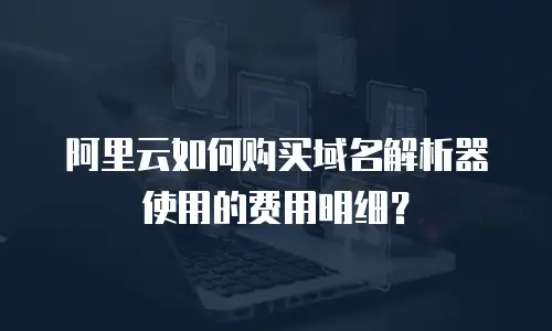 阿里云如何购买域名解析器使用的费用明细？