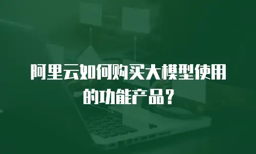 阿里云如何购买大模型使用的功能产品？