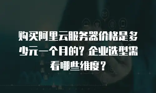 购买阿里云服务器价格是多少元一个月的？企业选型需看哪些维度？