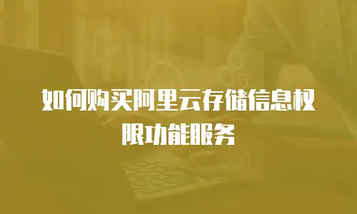 如何购买阿里云存储信息权限功能服务
