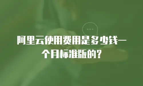 阿里云使用费用是多少钱一个月标准版的？